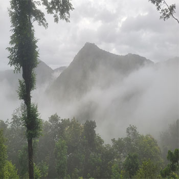 Newcastle Holidays & Resort Photo Gallery